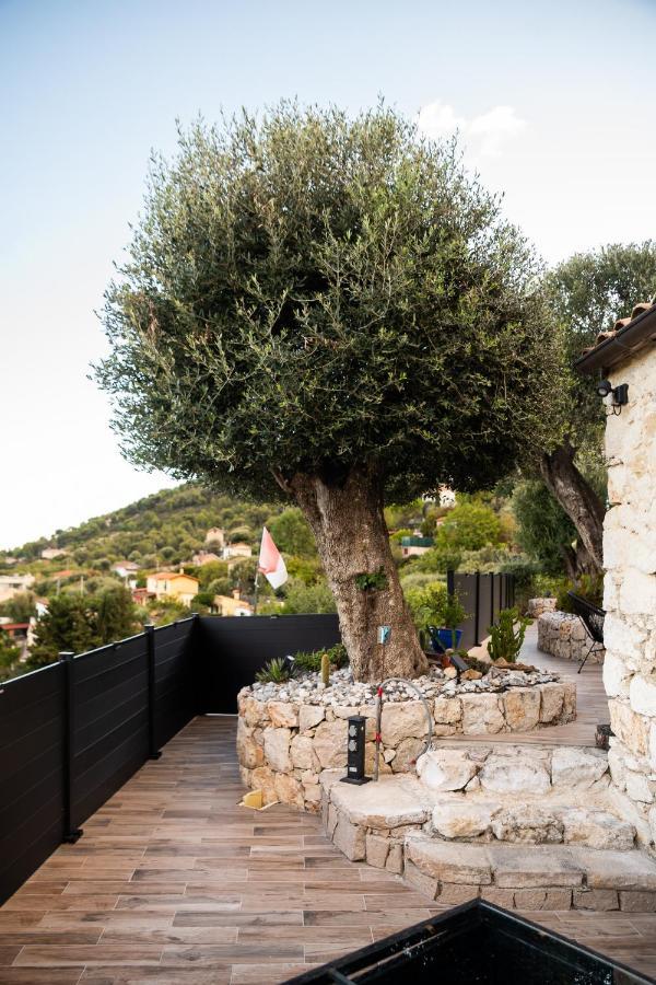 Le Petit Jardin Exotique Ferienhaus *