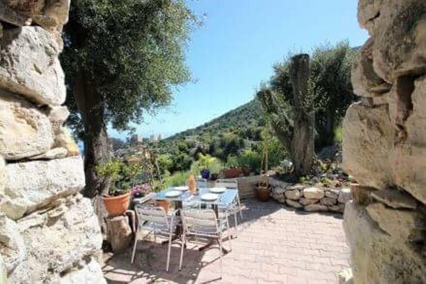 Le Petit Jardin Exotique