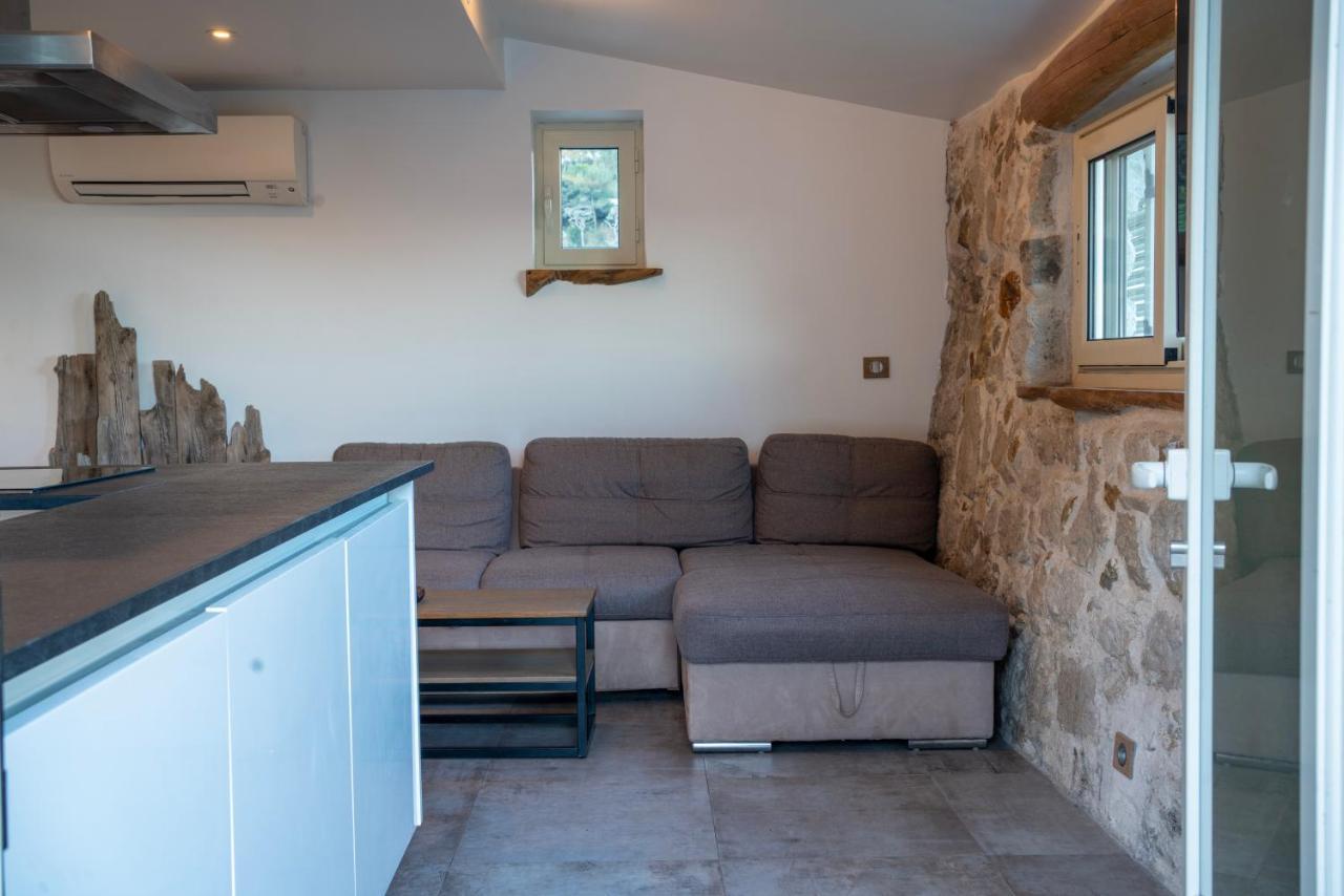 Le Petit Jardin Exotique Hébergement de vacances Beausoleil
