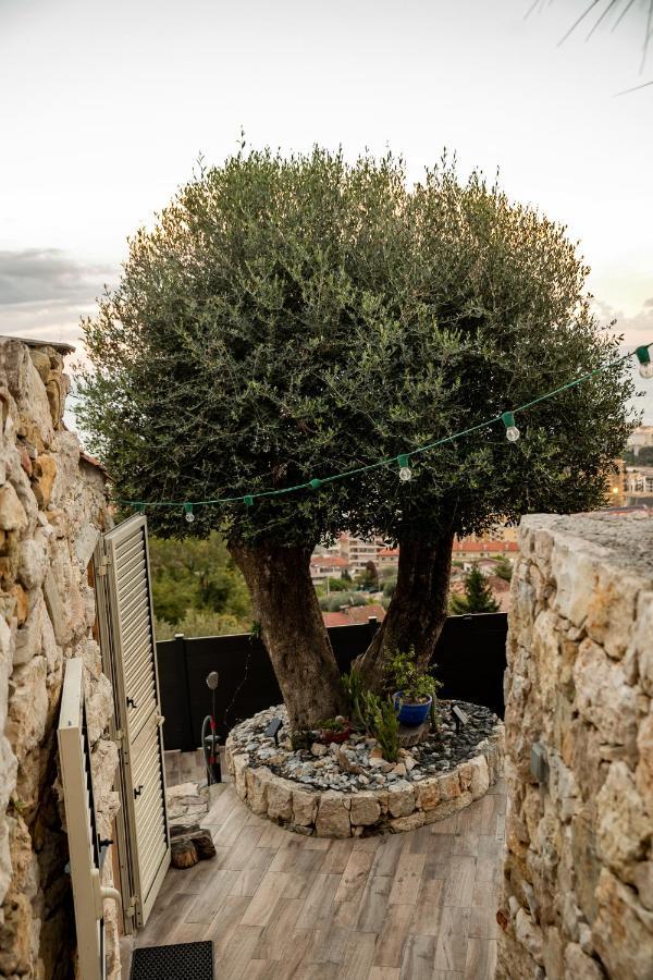 Holiday home Le Petit Jardin Exotique