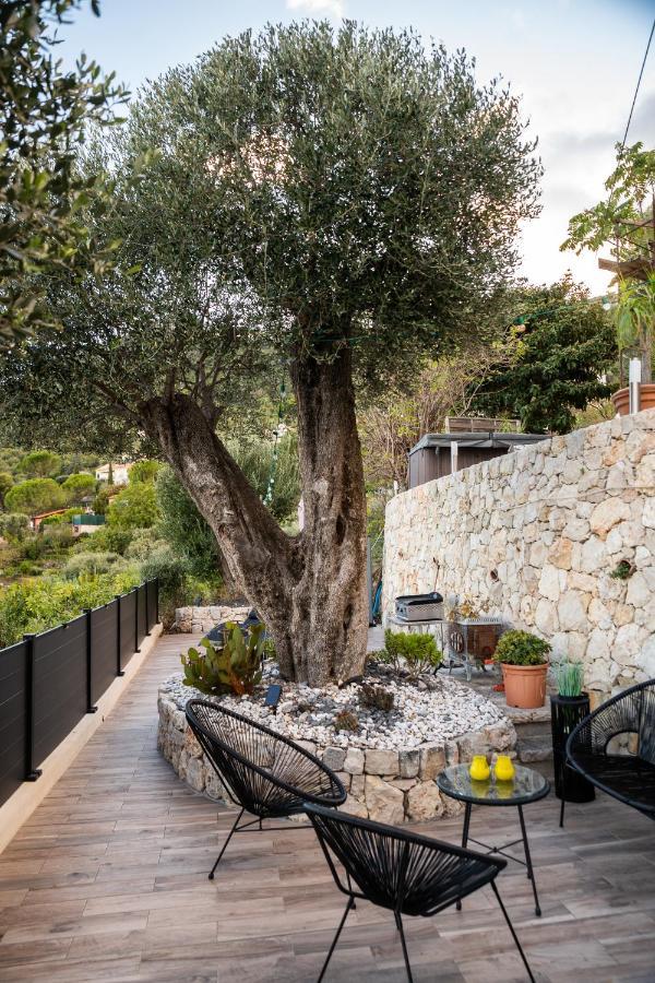 Le Petit Jardin Exotique Hébergement de vacances